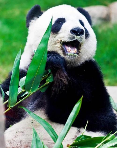 ���¿���Ϊ��װ��ҵ��һֱ�ڴ��£������������µĹ���Ϳɼ�һ��