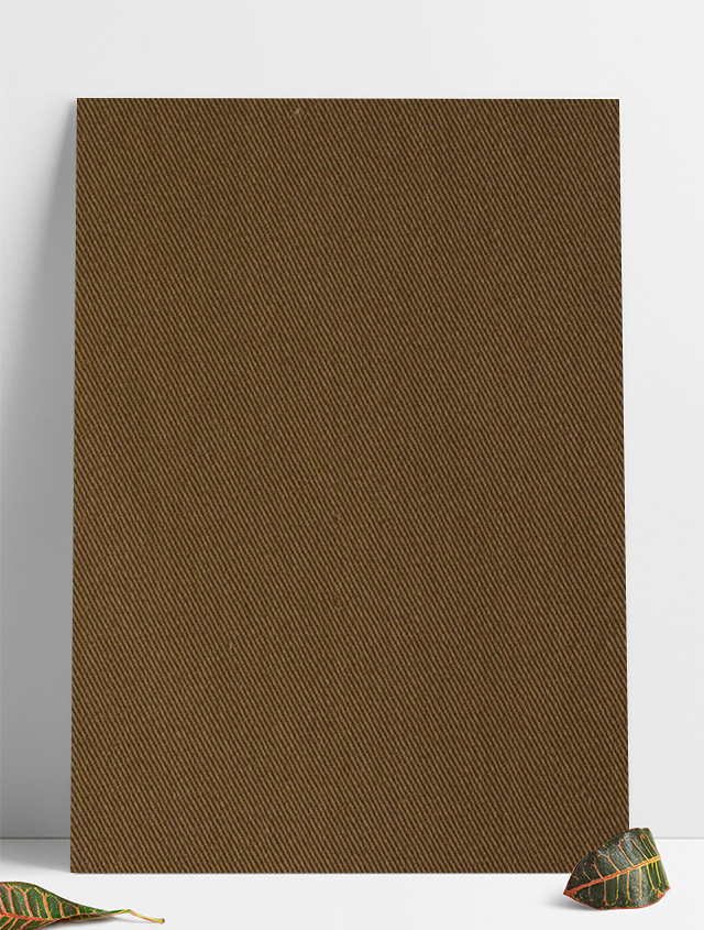 C-0011 ����CVC