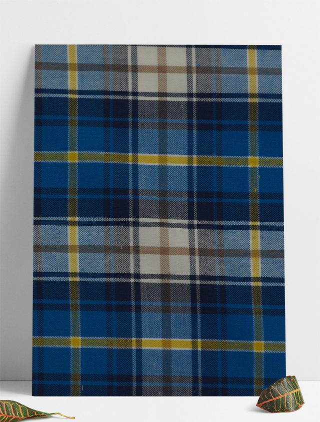 D-0015 湖蓝黄线斜纹格