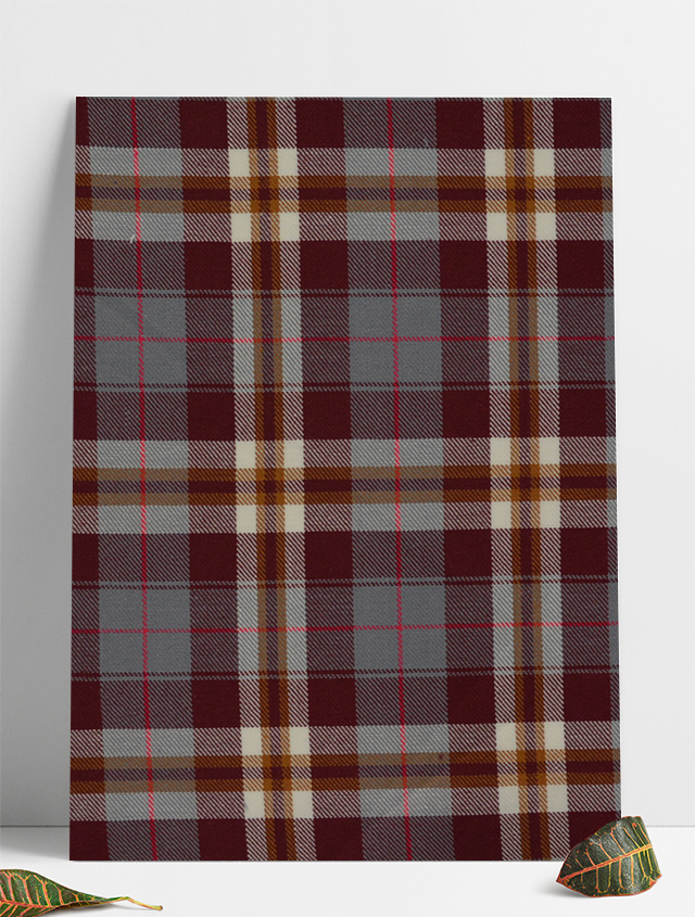 D-0047 �����߸�