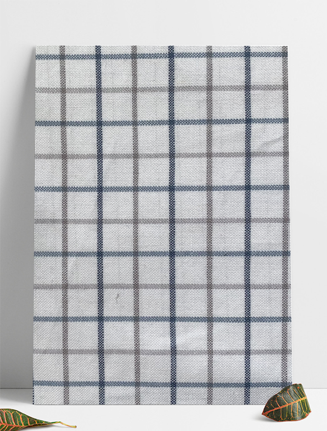 B-0001 蓝白格双色